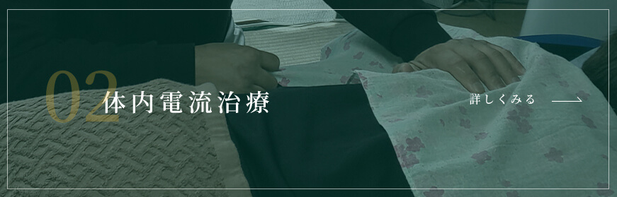 体内電流治療